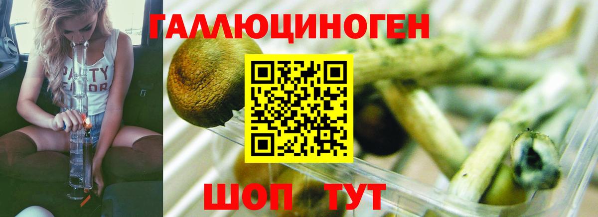 где продают наркотики  Галлюциногенные грибы прущие грибы  Вход с VPN  Чапаевск 